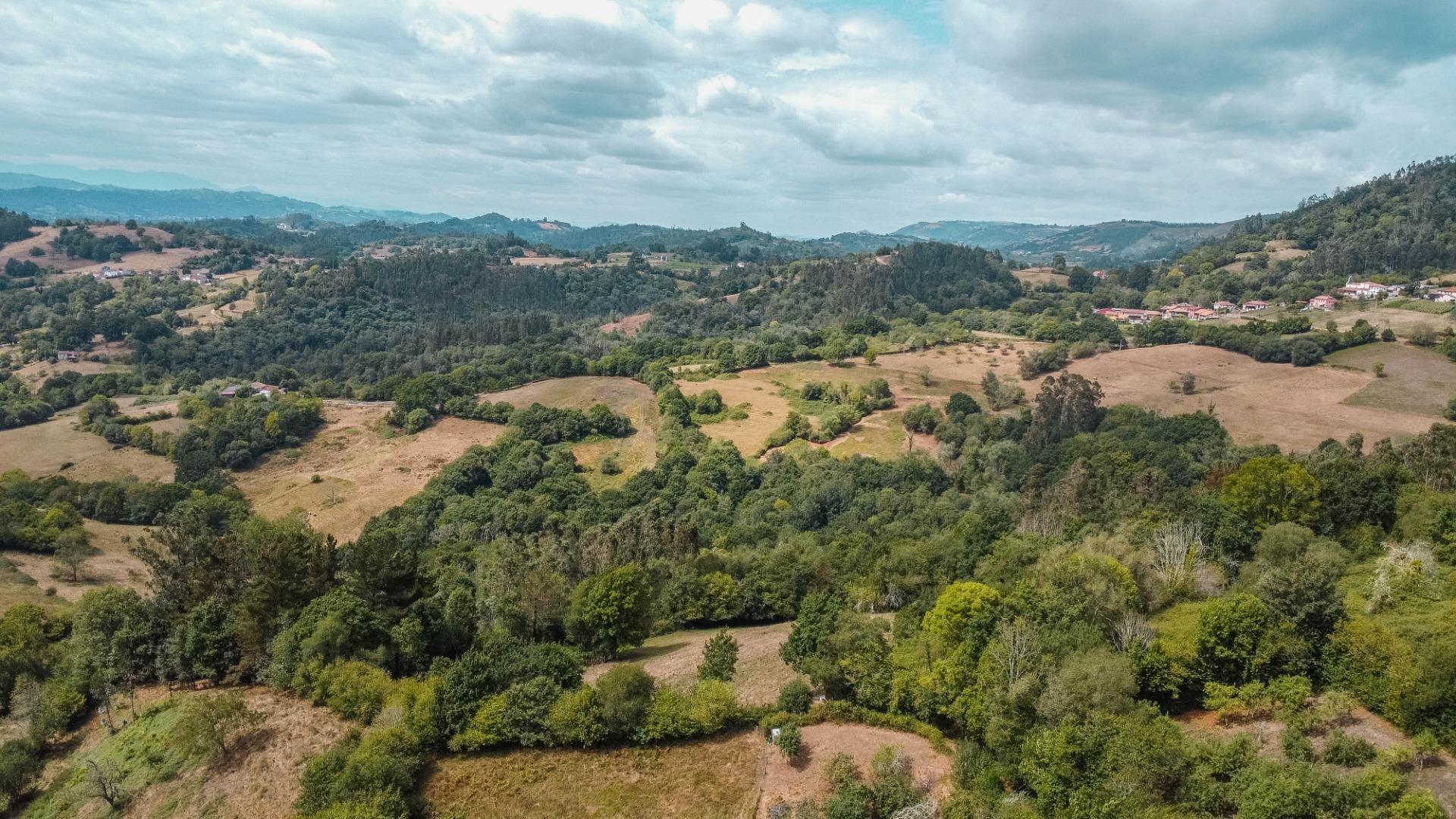 Casas o chalets-Venta-Cabranes-1867135-Foto-44