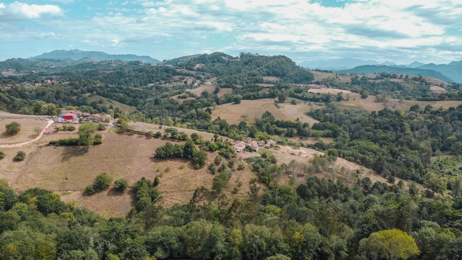 Casas o chalets-Venta-Cabranes-1867135-Foto-48