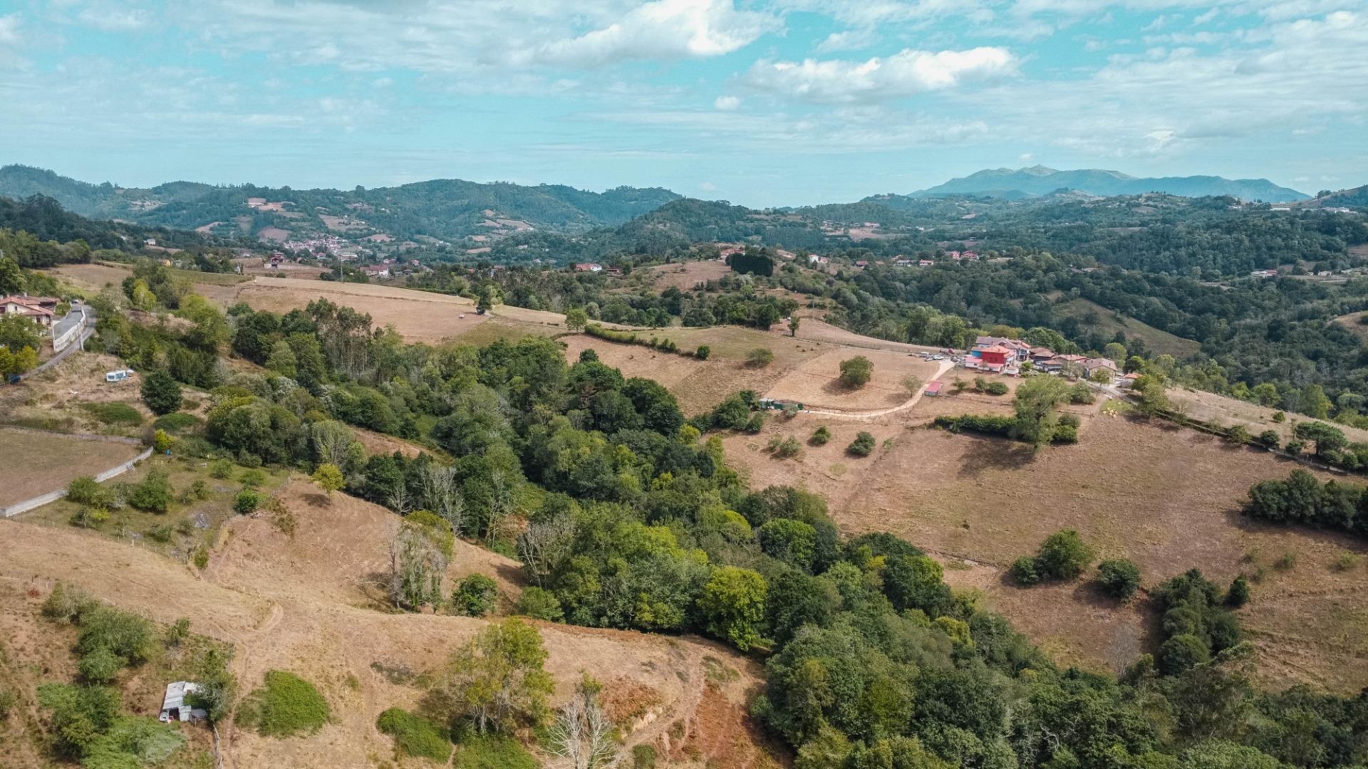 Casas o chalets-Venta-Cabranes-1867135-Foto-49