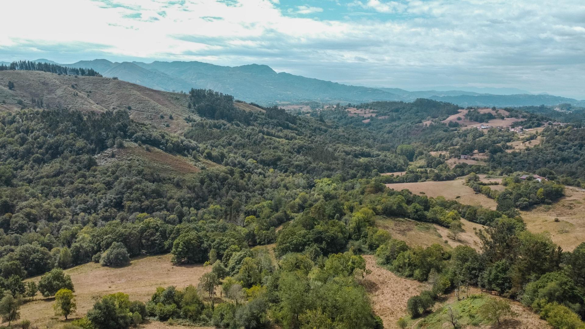 Casas o chalets-Venta-Cabranes-1867135-Foto-46