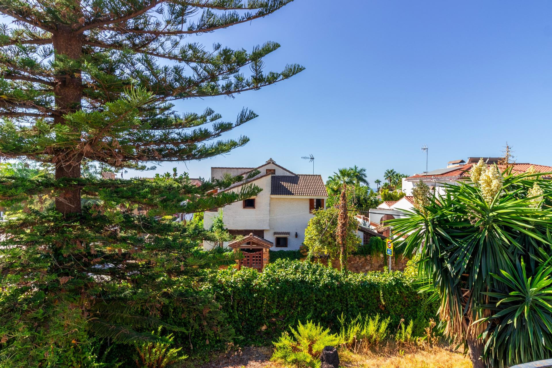 Casas o chalets-Venta-Marbella-1832523-Foto-5