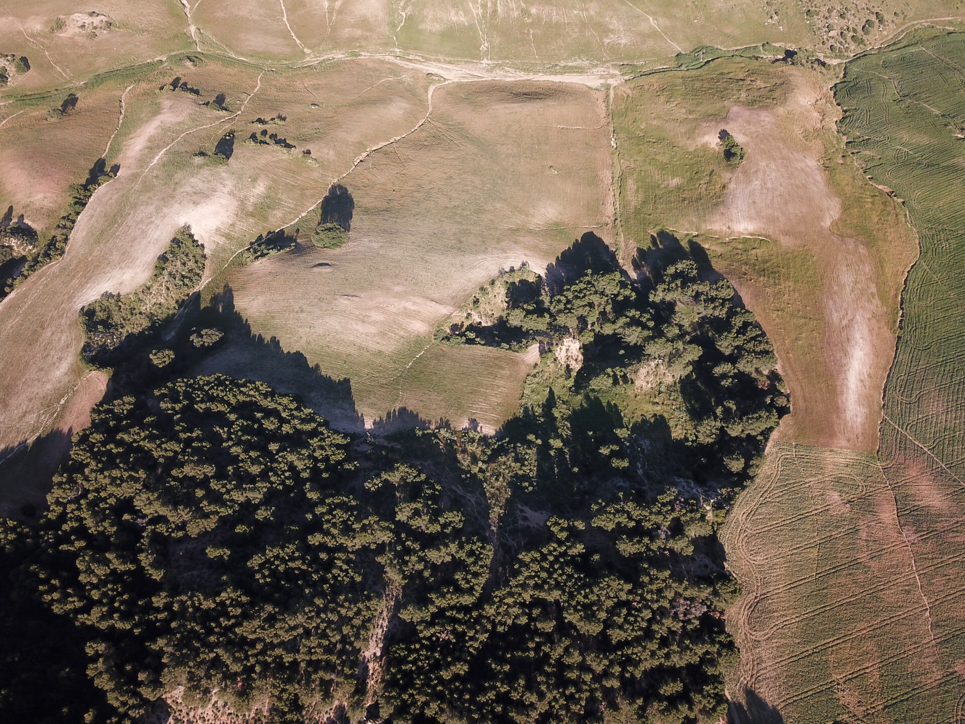 Pisos-Venta-Ardales-1830750-Foto-30