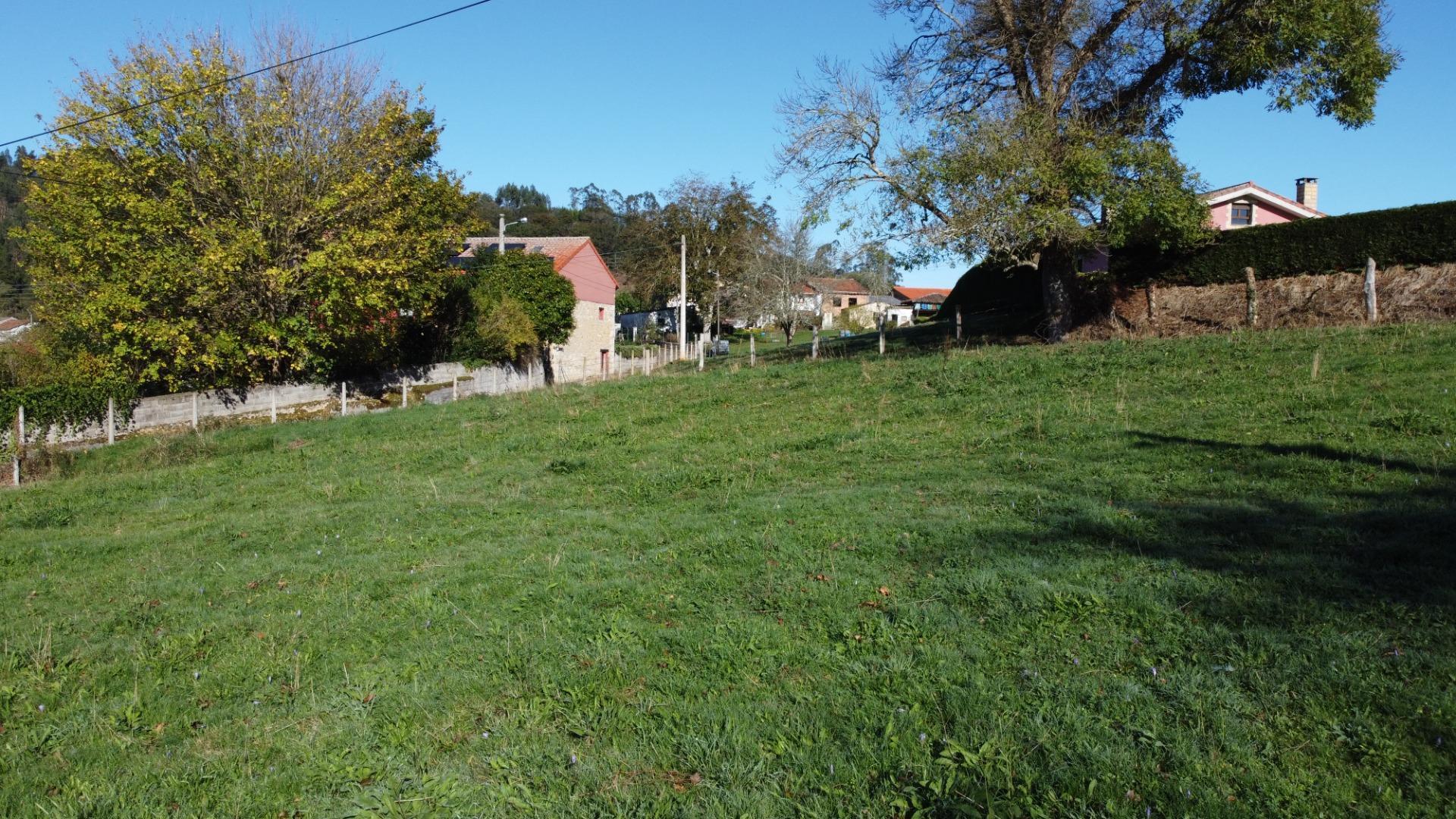 Fincas y solares-Venta-Las Navas del MarquÃ©s-1941489-Foto-8