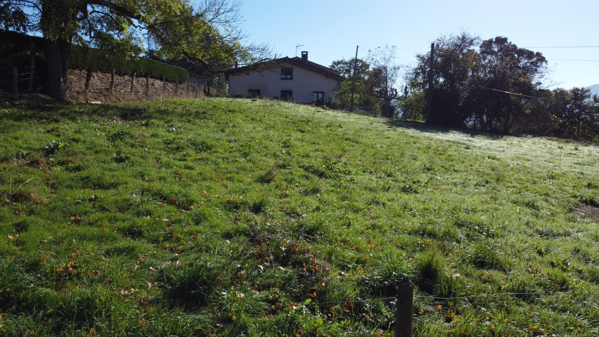 Fincas y solares-Venta-Las Navas del MarquÃ©s-1941489-Foto-10