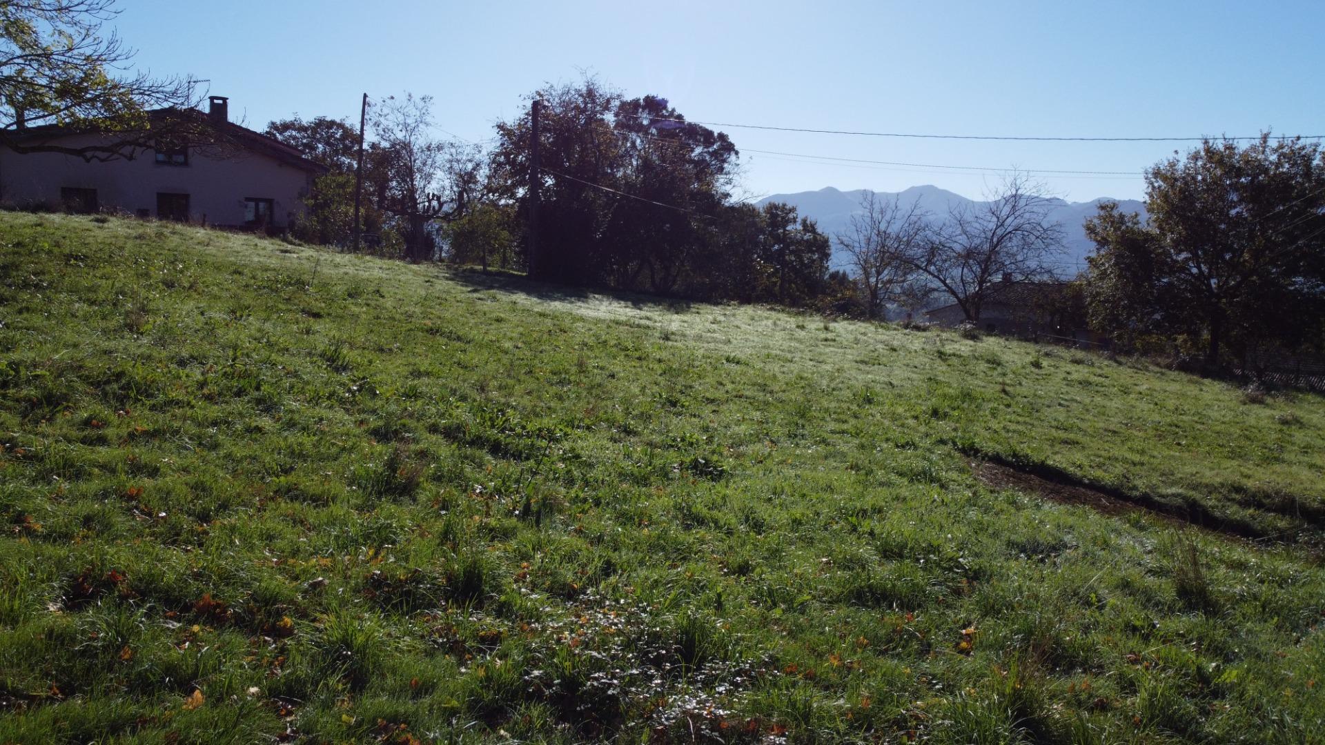 Fincas y solares-Venta-Las Navas del MarquÃ©s-1941489-Foto-17