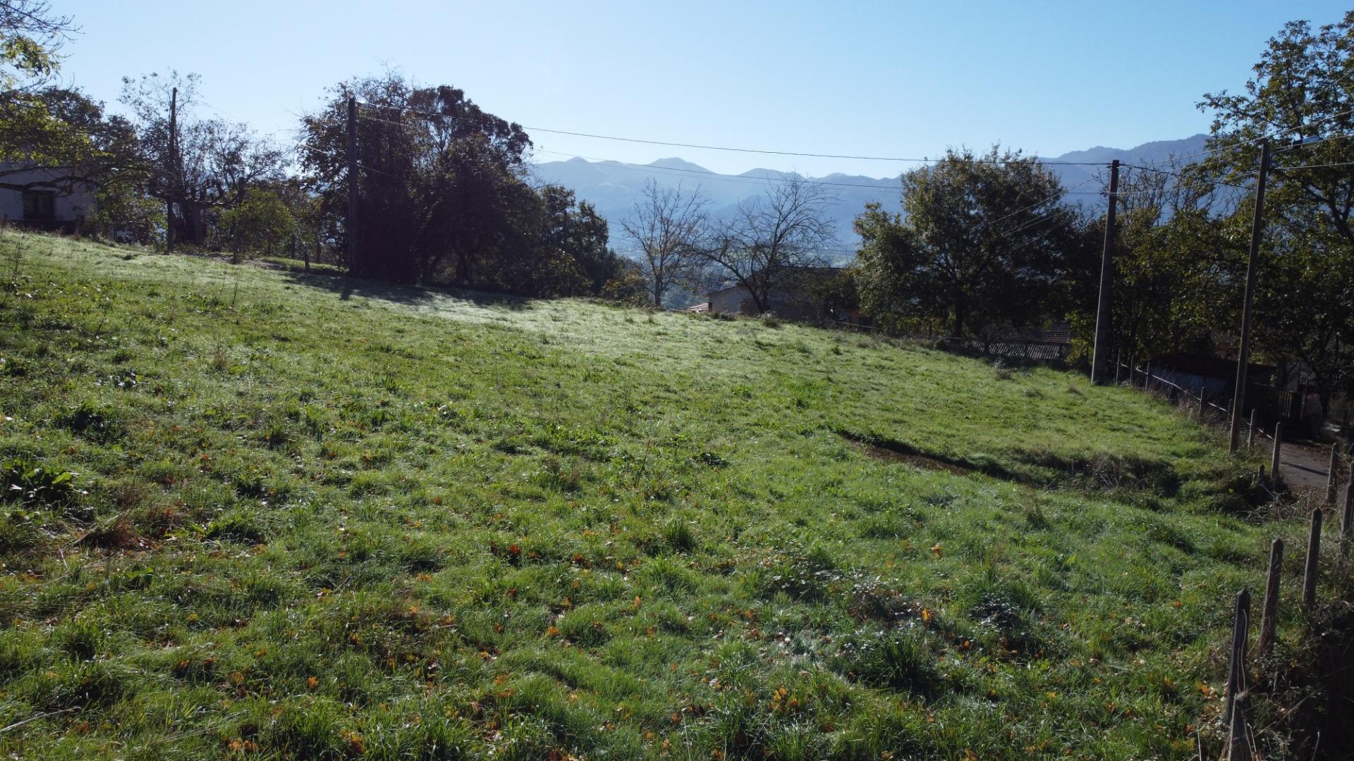 Fincas y solares-Venta-Las Navas del MarquÃ©s-1941489-Foto-15