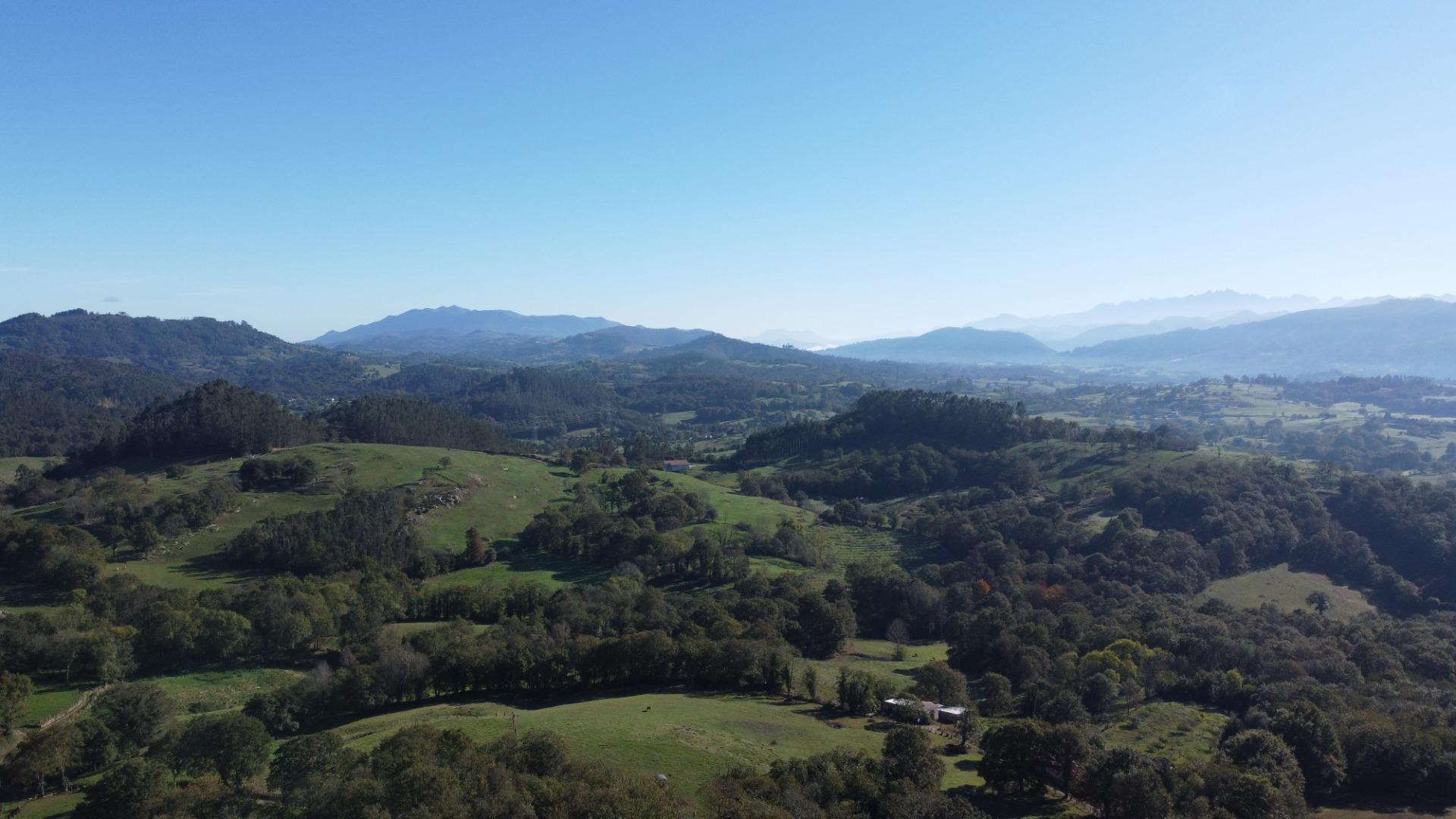 Fincas y solares-Venta-Las Navas del MarquÃ©s-1941489-Foto-21