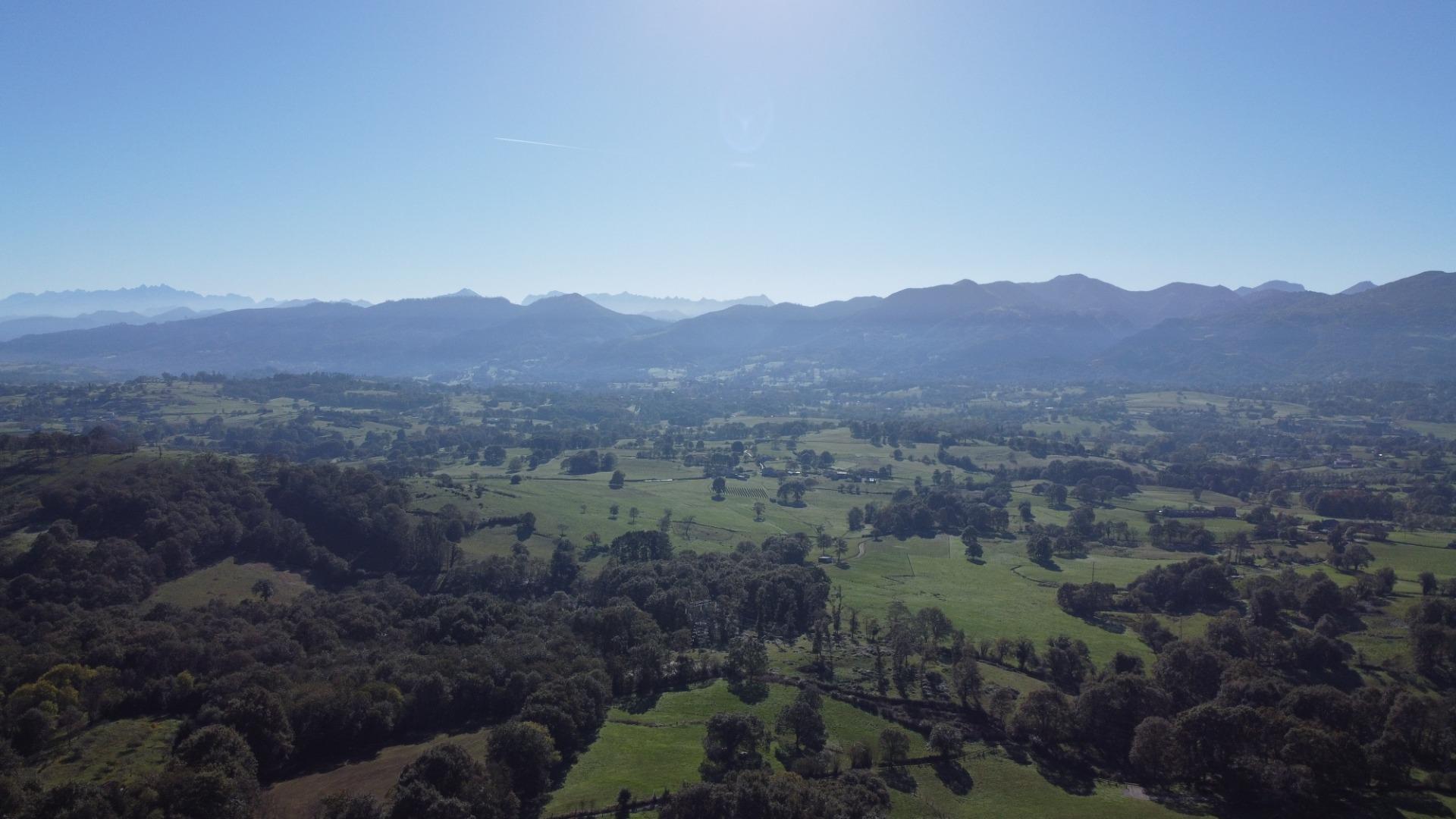 Fincas y solares-Venta-Las Navas del MarquÃ©s-1941489-Foto-20