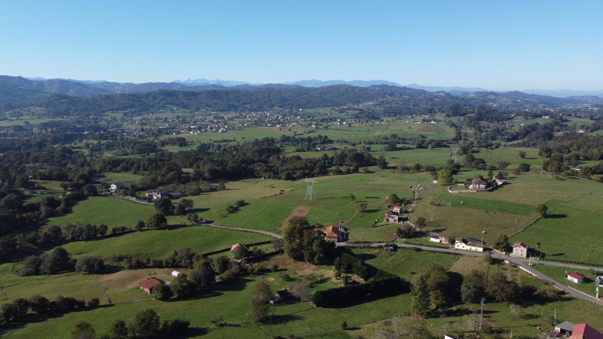 Fincas y solares-Venta-Las Navas del MarquÃ©s-1941489-Foto-24