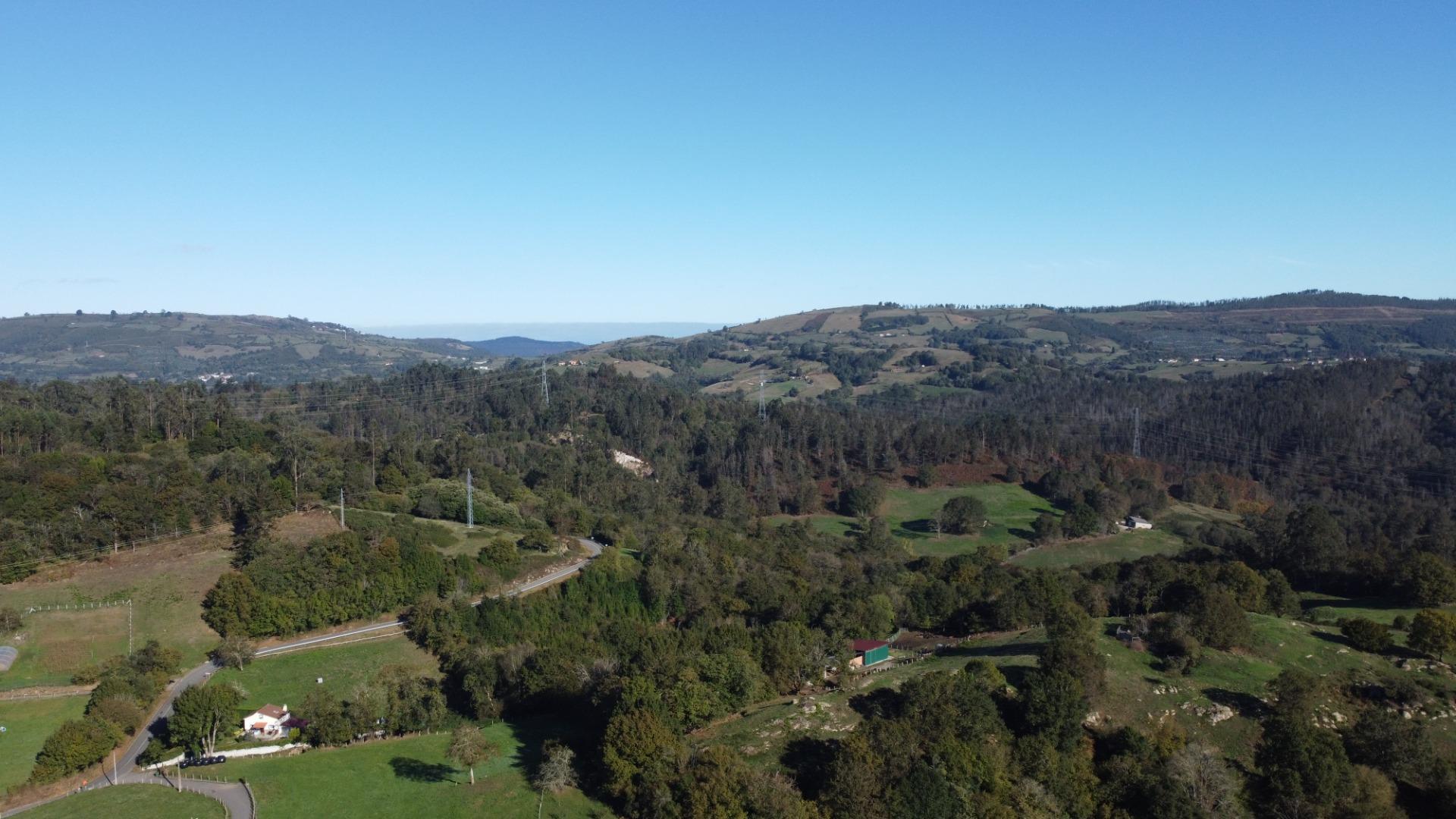 Fincas y solares-Venta-Las Navas del MarquÃ©s-1941489-Foto-22