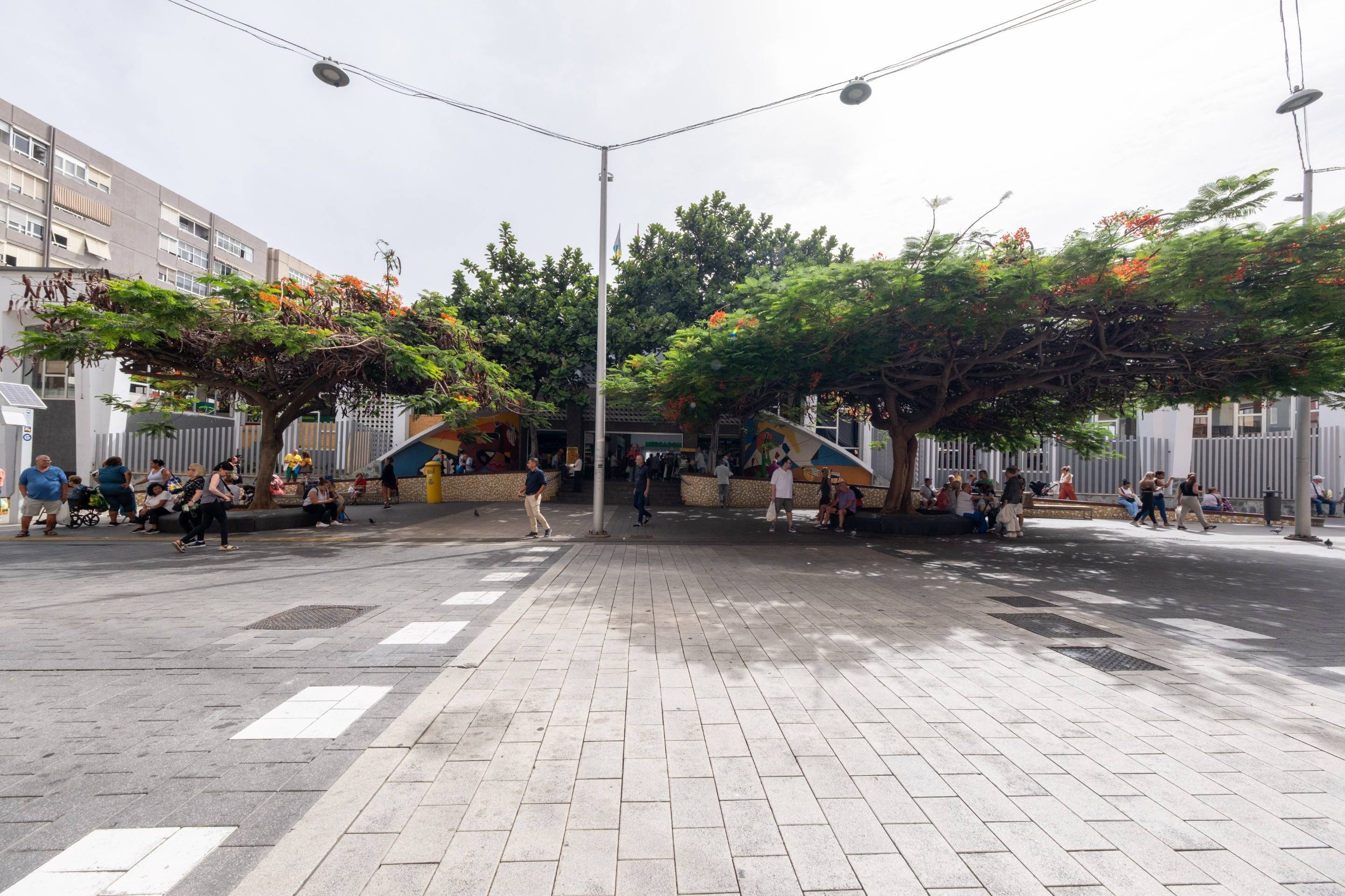 Pisos-Venta-Las Palmas de Gran Canaria-1876861-Foto-6