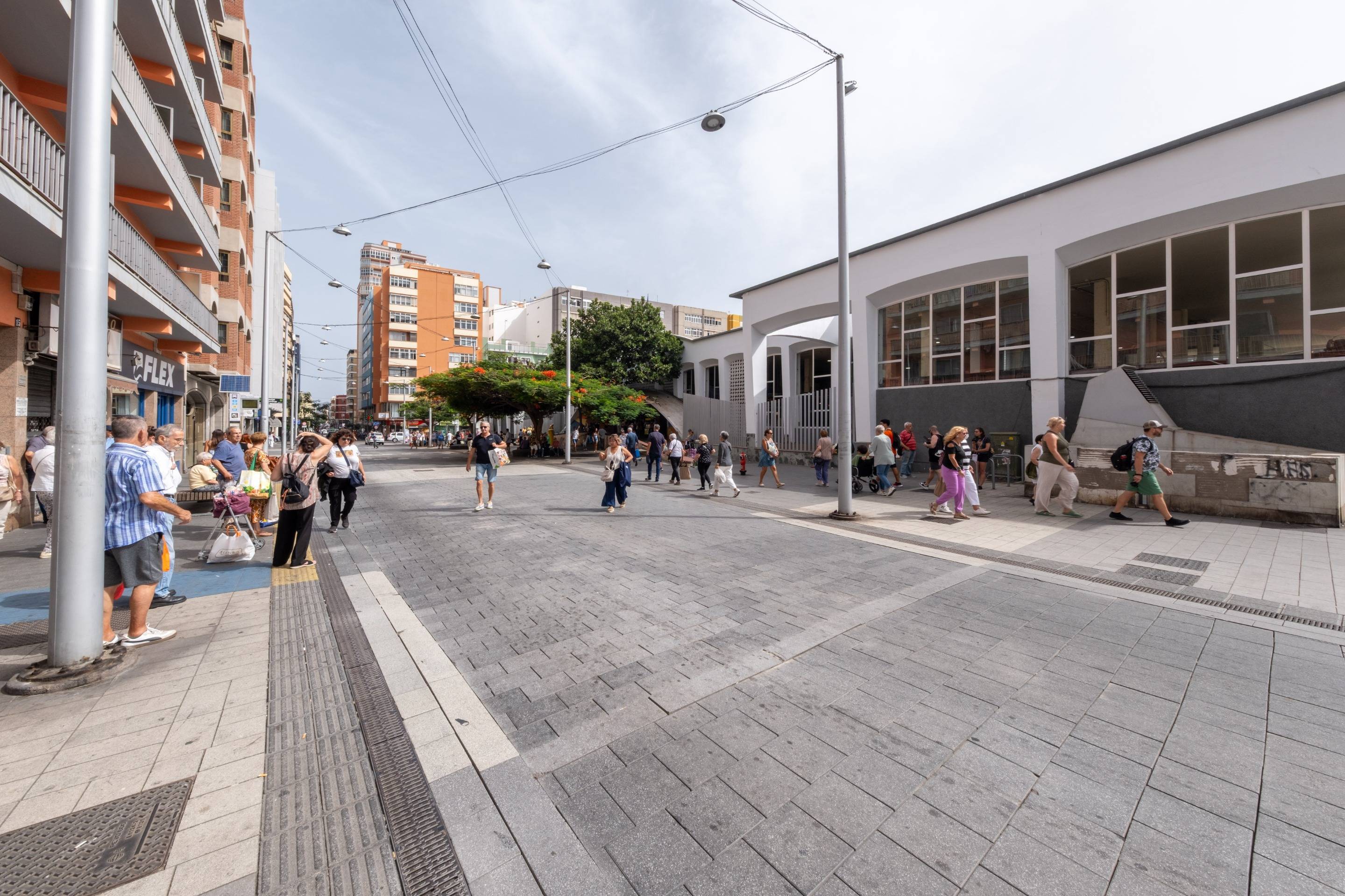 Pisos-Venta-Las Palmas de Gran Canaria-1876861-Foto-7