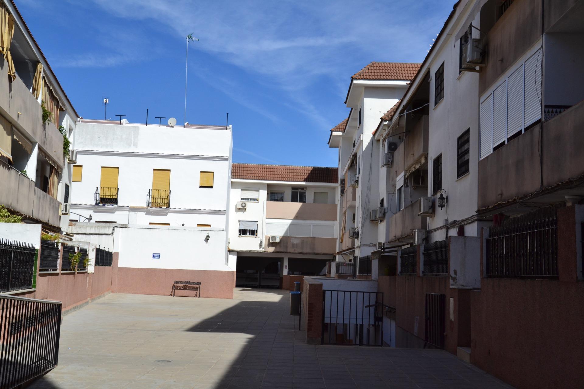 Pisos-Venta-SanlÃºcar la Mayor-1941953-Foto-40