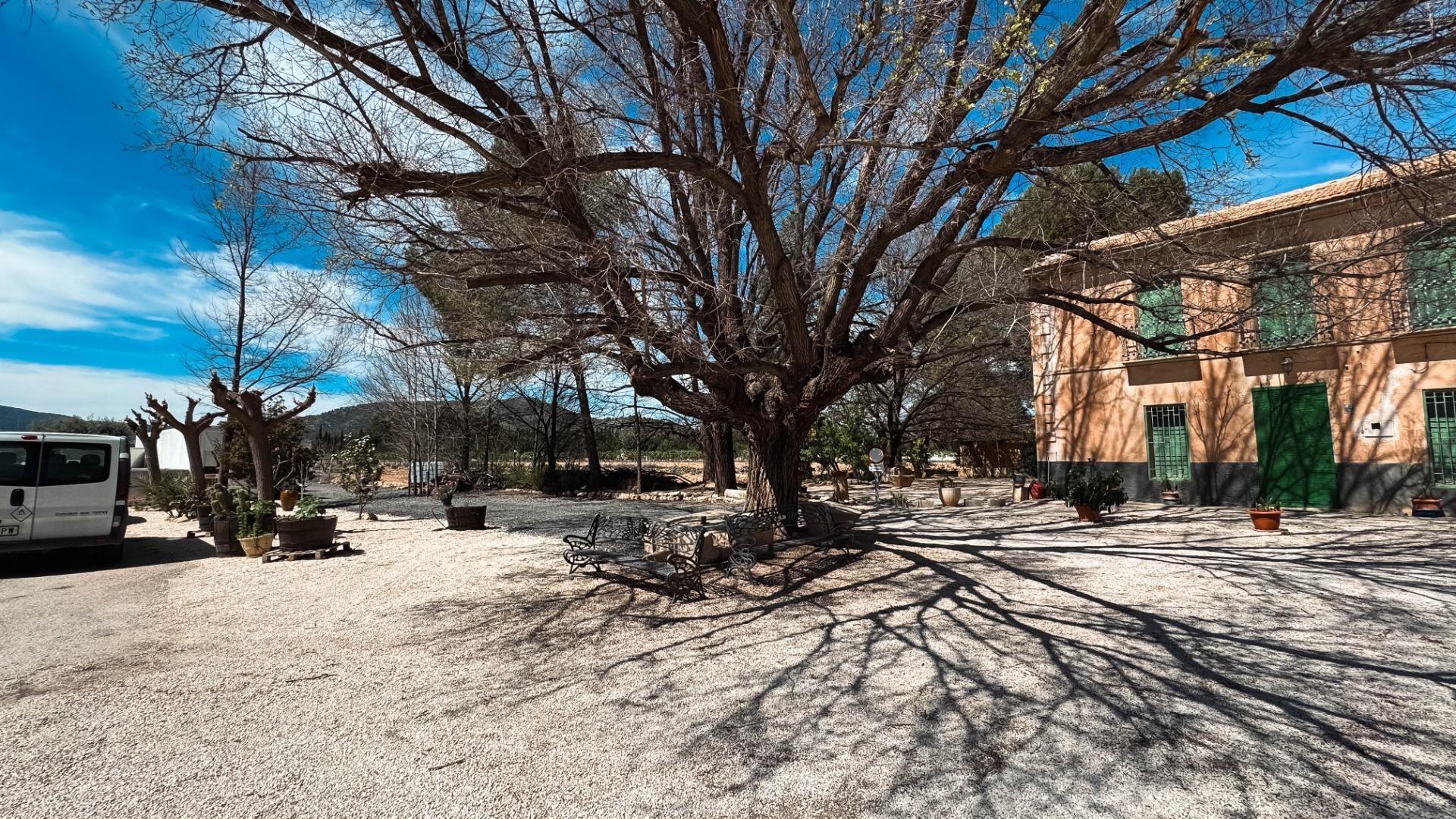 Casas o chalets-Venta-Monóvar-1702974-Foto-14