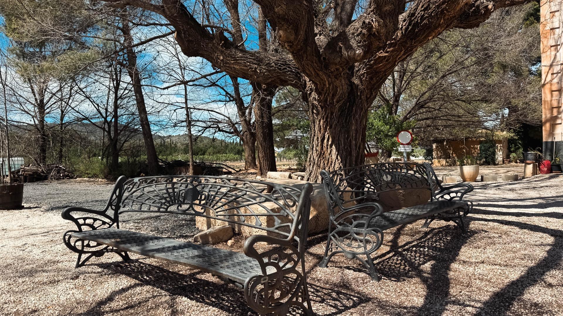 Casas o chalets-Venta-Monóvar-1702974-Foto-15