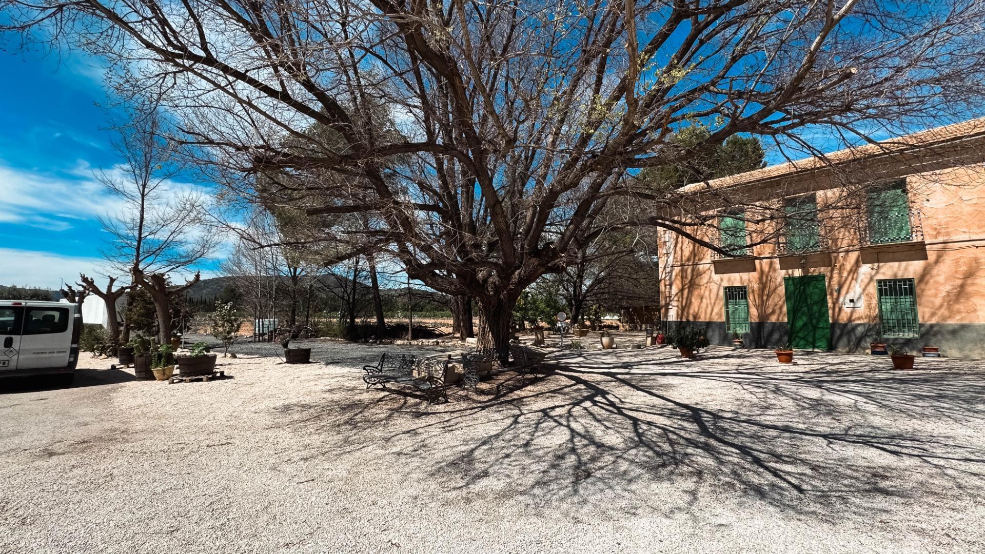 Casas o chalets-Venta-Monóvar-1702974-Foto-13