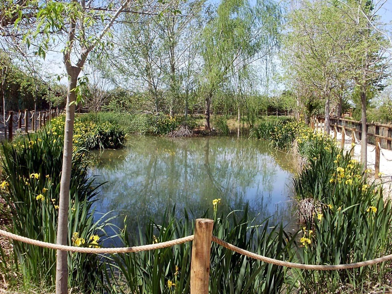 Pisos-Venta-Alzira-1720614-Foto-3