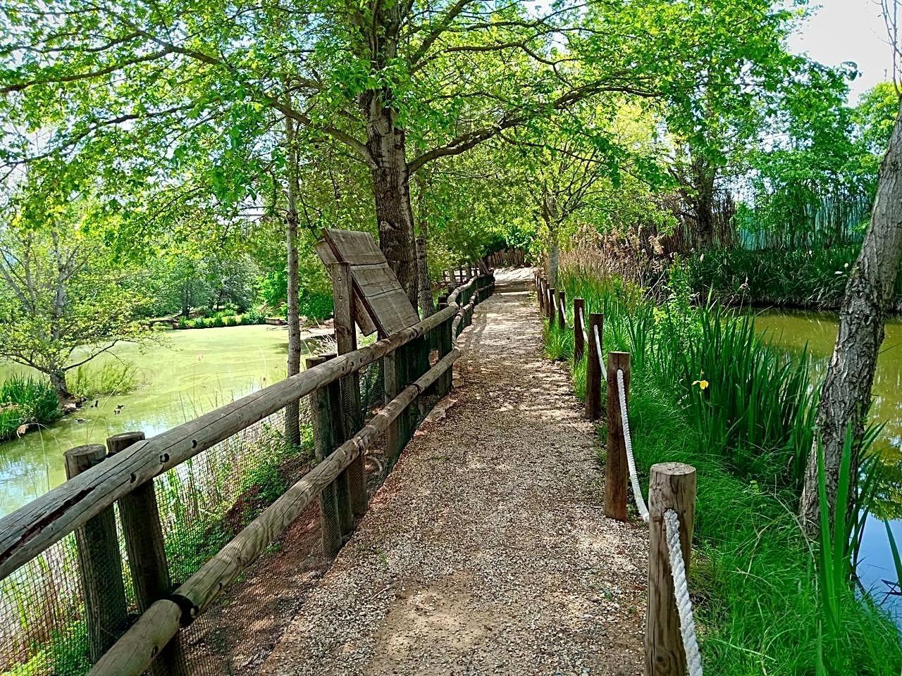 Pisos-Venta-Alzira-1720614-Foto-2