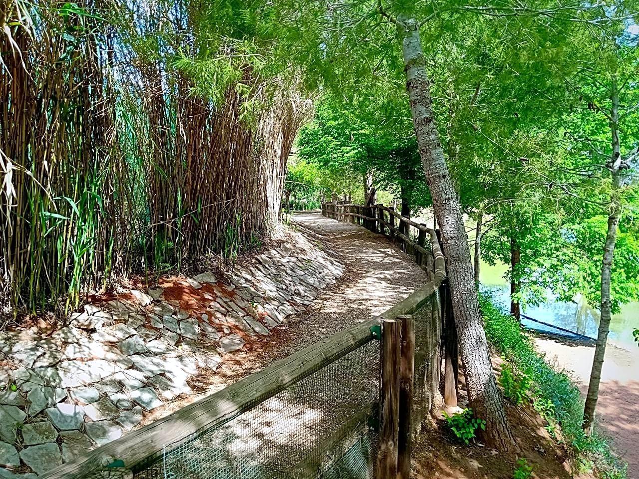 Pisos-Venta-Alzira-1720614