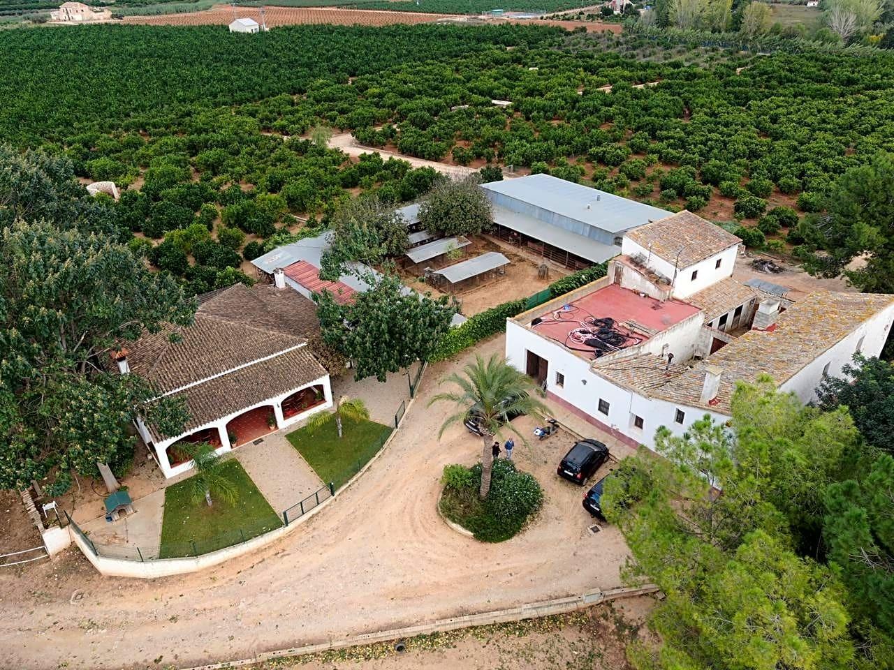 Pisos-Venta-Alzira-1720614-Foto-5