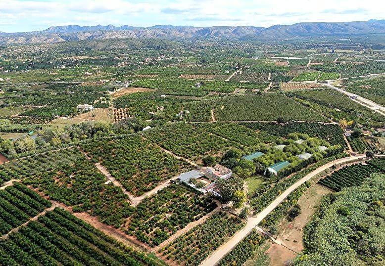 Pisos-Venta-Alzira-1720614-Foto-9