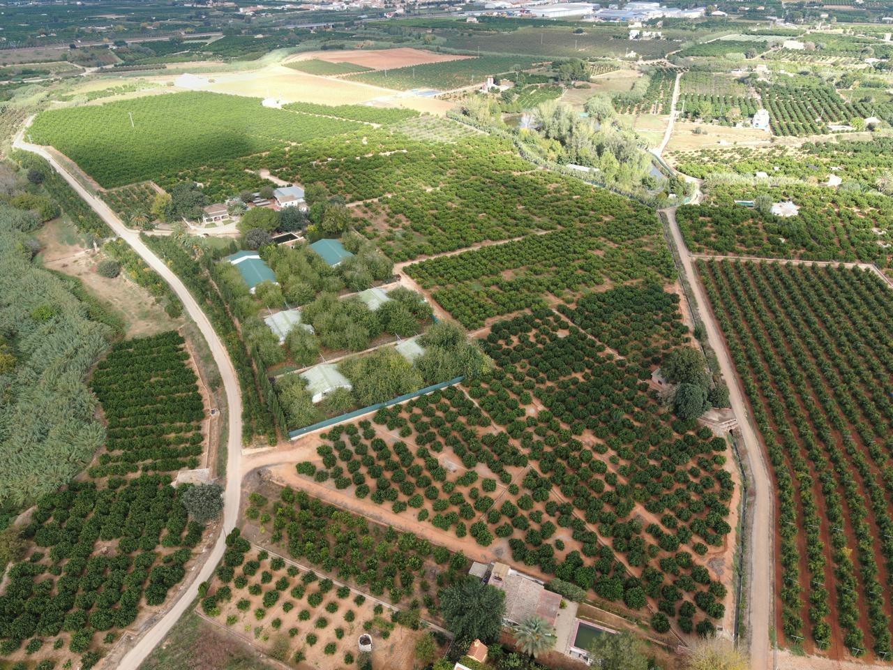 Pisos-Venta-Alzira-1720614-Foto-6