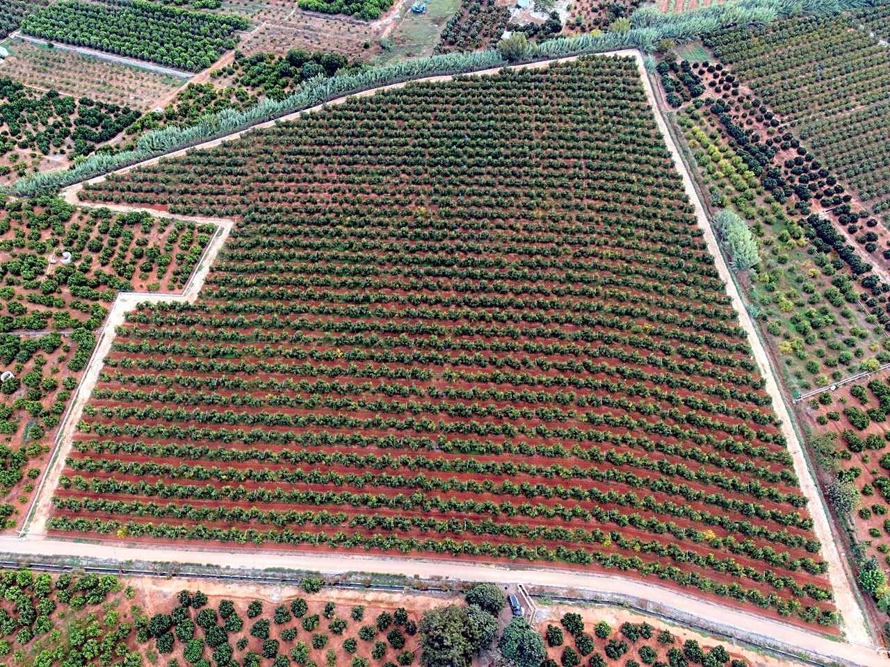 Pisos-Venta-Alzira-1720614-Foto-8