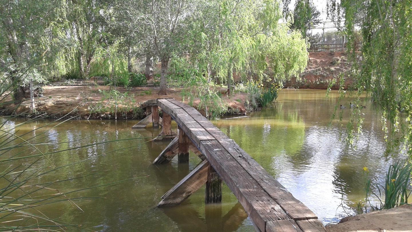 Pisos-Venta-Alzira-1720614-Foto-10