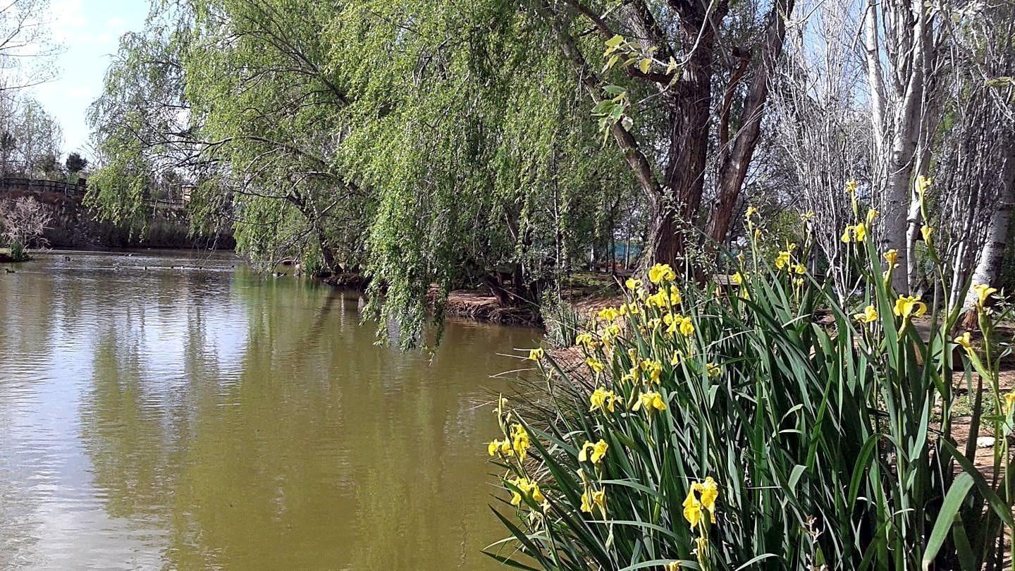 Pisos-Venta-Alzira-1720614-Foto-13