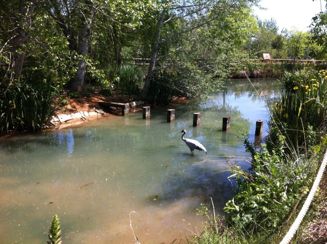 Pisos-Venta-Alzira-1720614-Foto-11