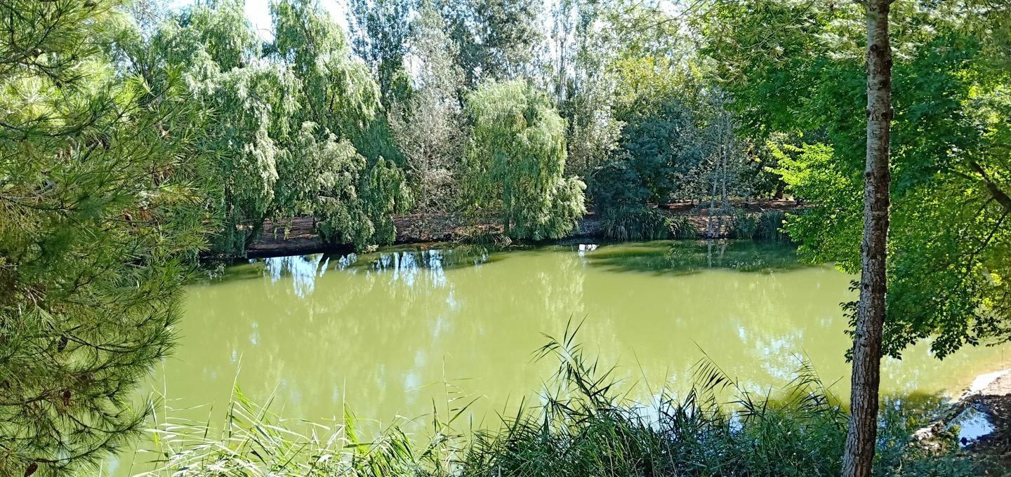 Pisos-Venta-Alzira-1720614-Foto-12