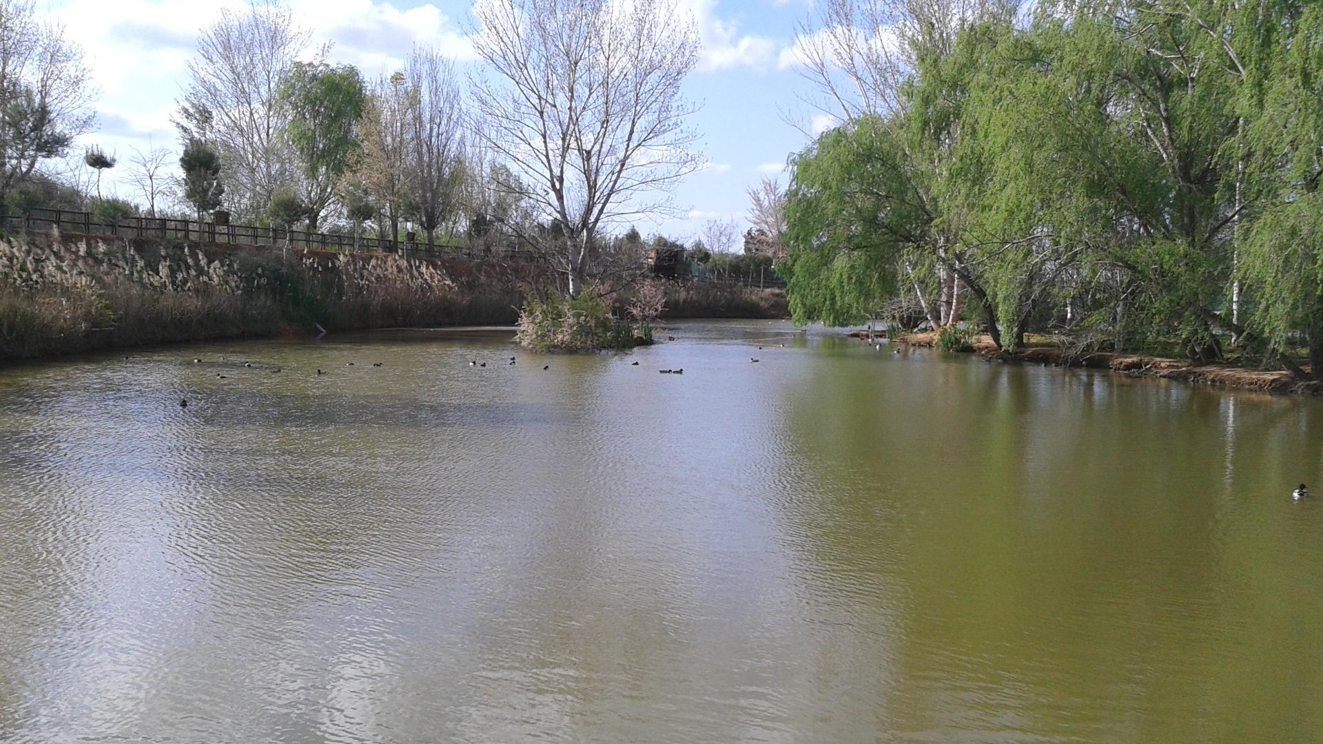 Pisos-Venta-Alzira-1720614-Foto-14