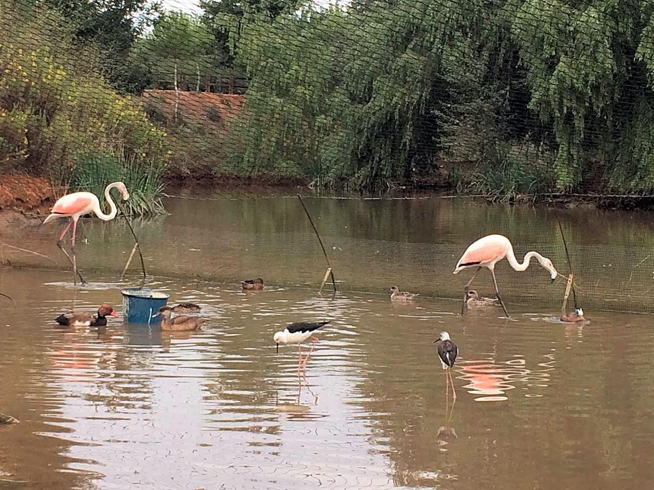 Pisos-Venta-Alzira-1720614-Foto-19