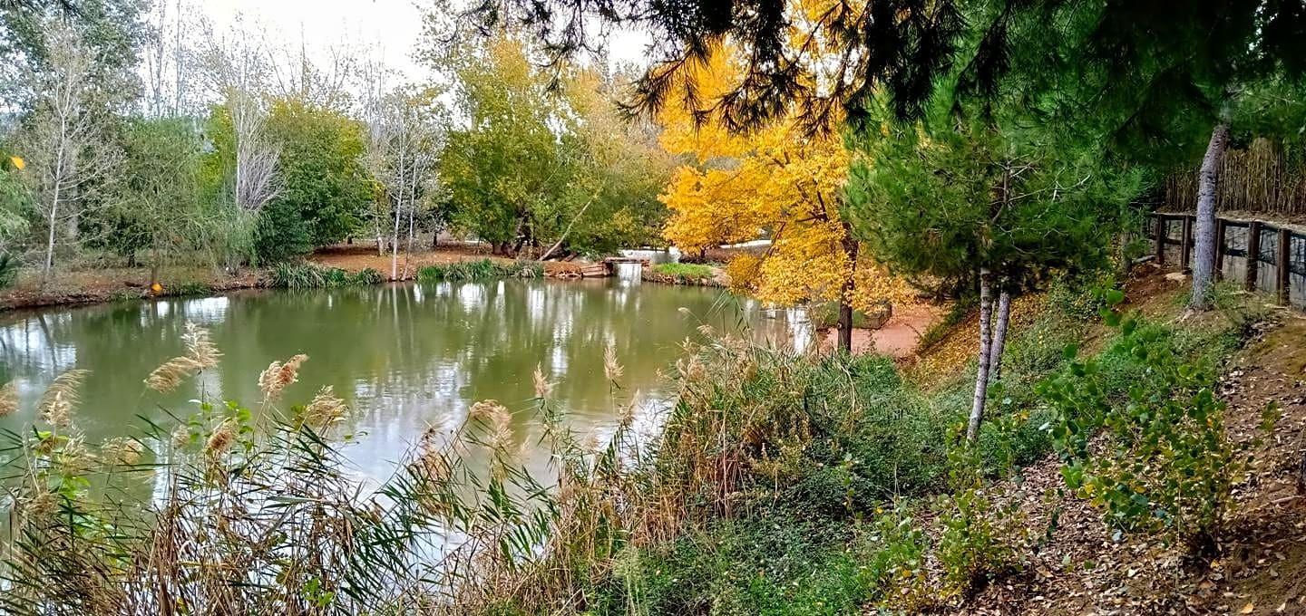 Pisos-Venta-Alzira-1720614-Foto-16