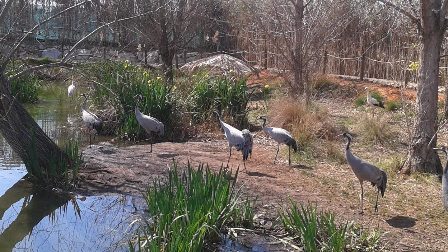 Pisos-Venta-Alzira-1720614-Foto-17