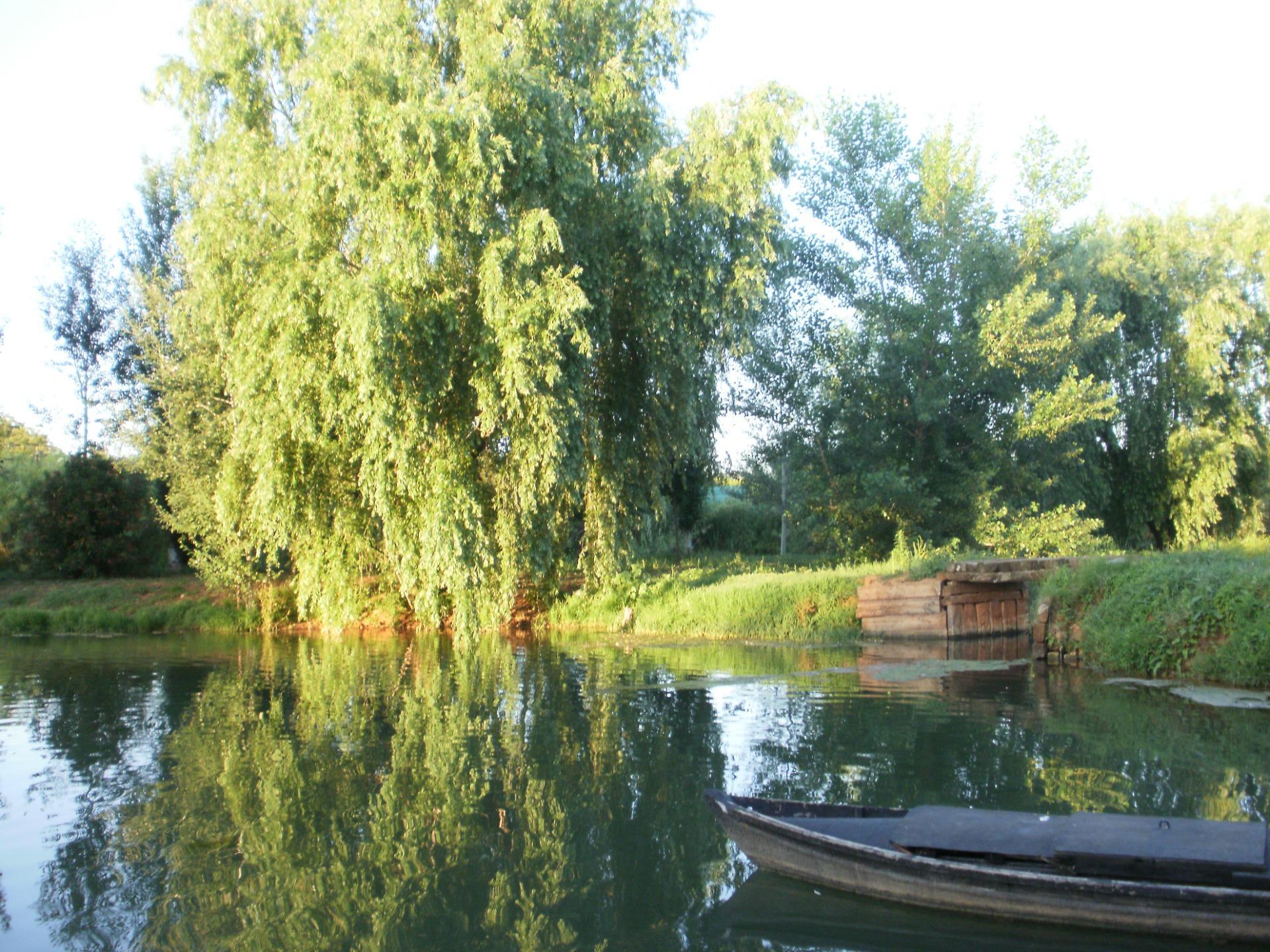 Pisos-Venta-Alzira-1720614-Foto-18