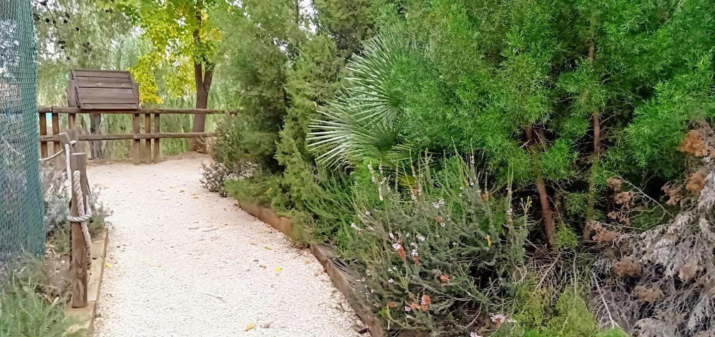 Pisos-Venta-Alzira-1720614-Foto-22