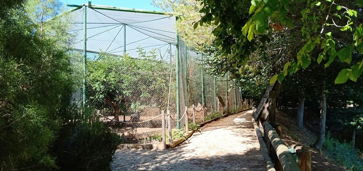 Pisos-Venta-Alzira-1720614-Foto-23