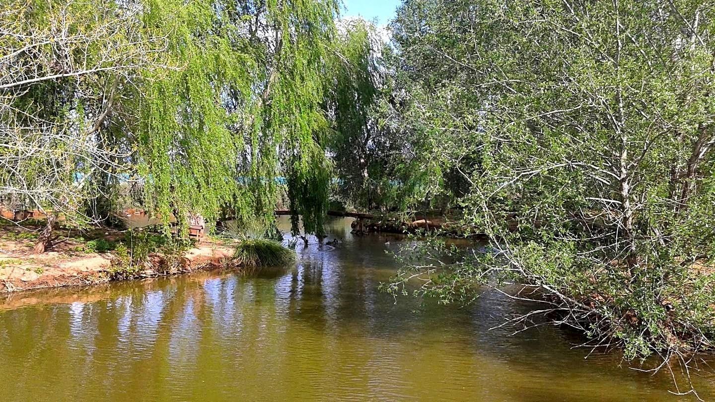 Pisos-Venta-Alzira-1720614-Foto-21