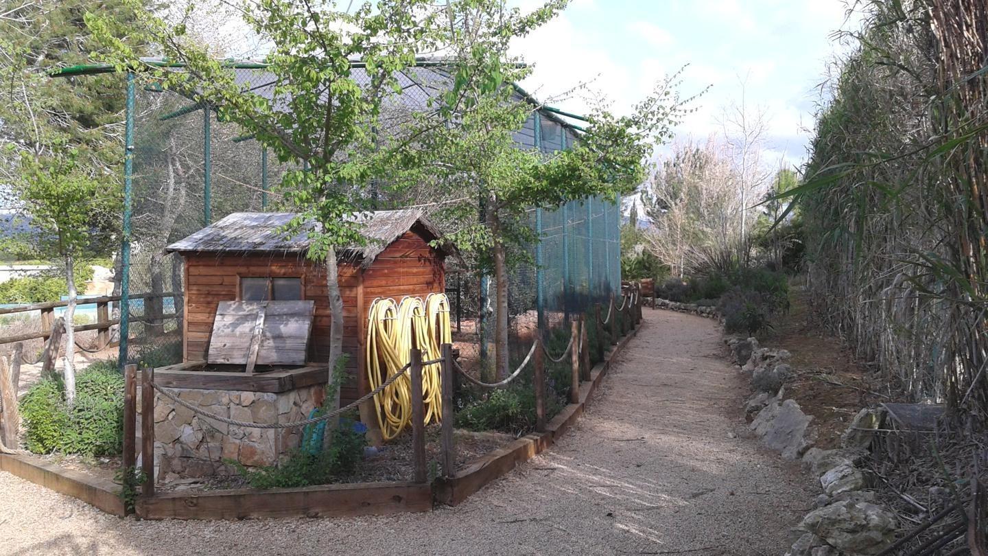 Pisos-Venta-Alzira-1720614-Foto-26