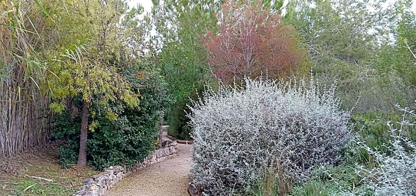 Pisos-Venta-Alzira-1720614-Foto-30