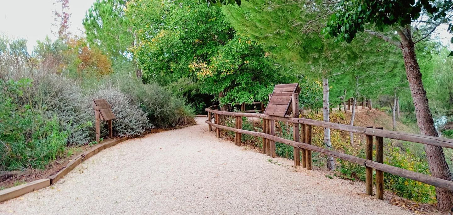 Pisos-Venta-Alzira-1720614-Foto-28