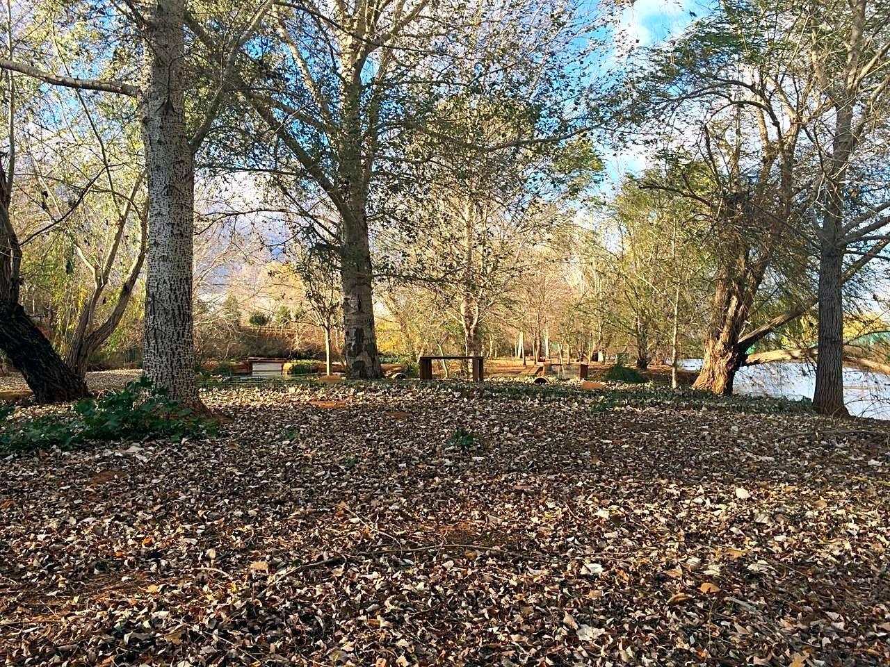 Pisos-Venta-Alzira-1720614-Foto-27