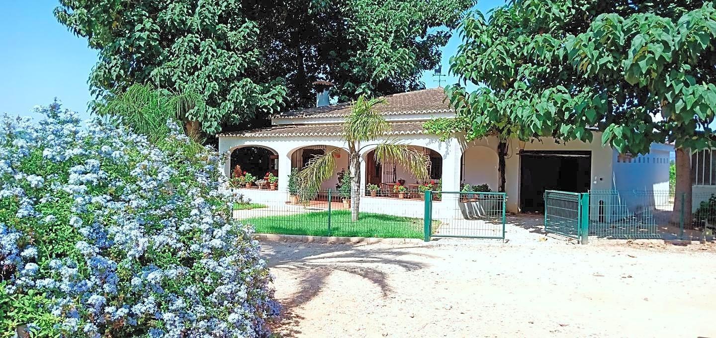 Pisos-Venta-Alzira-1720614-Foto-32