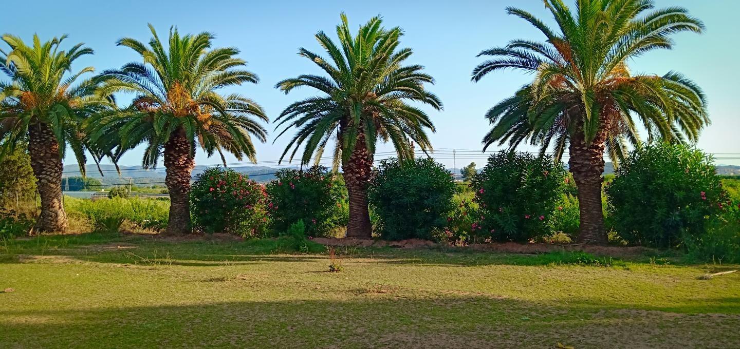 Pisos-Venta-Alzira-1720614-Foto-39