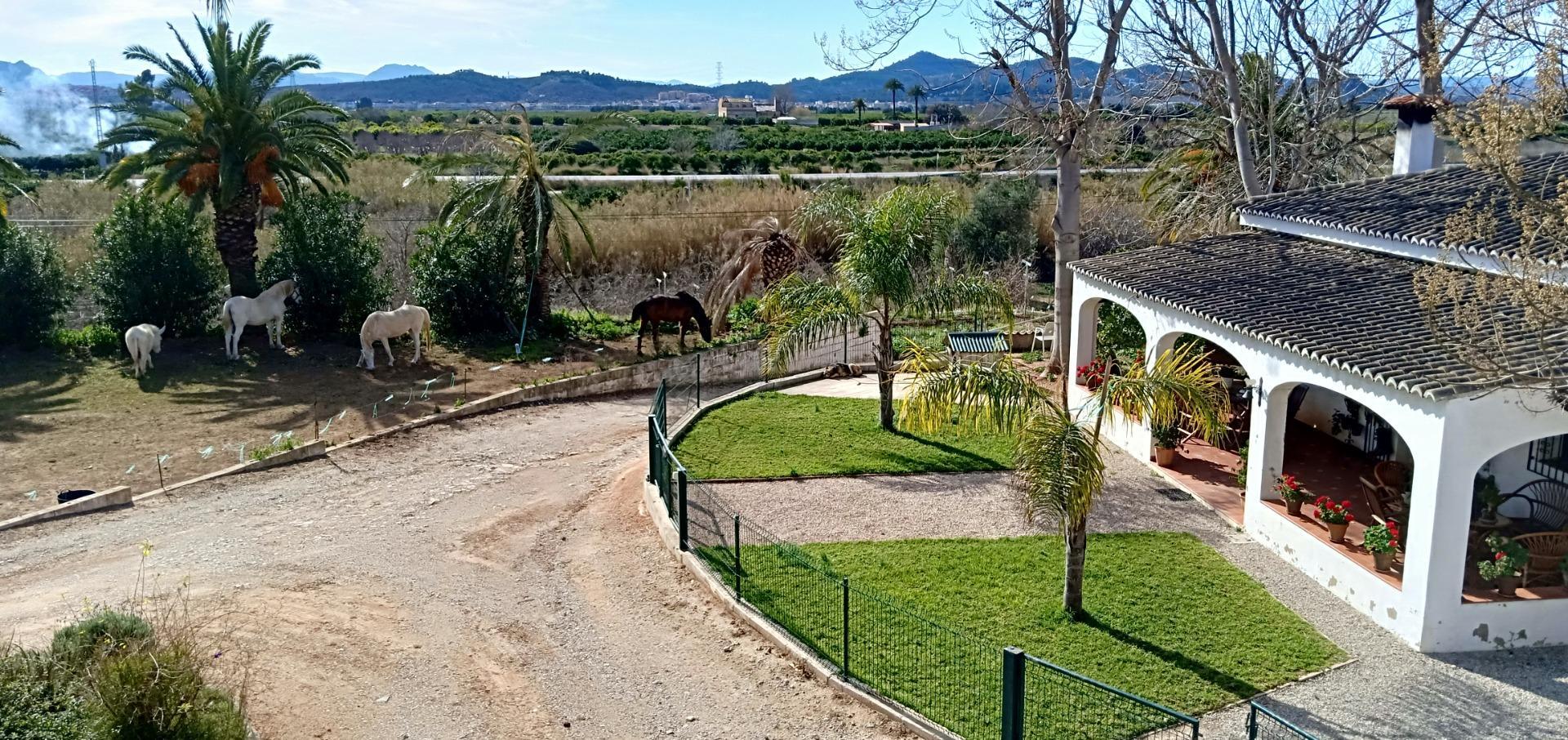 Pisos-Venta-Alzira-1720614-Foto-40