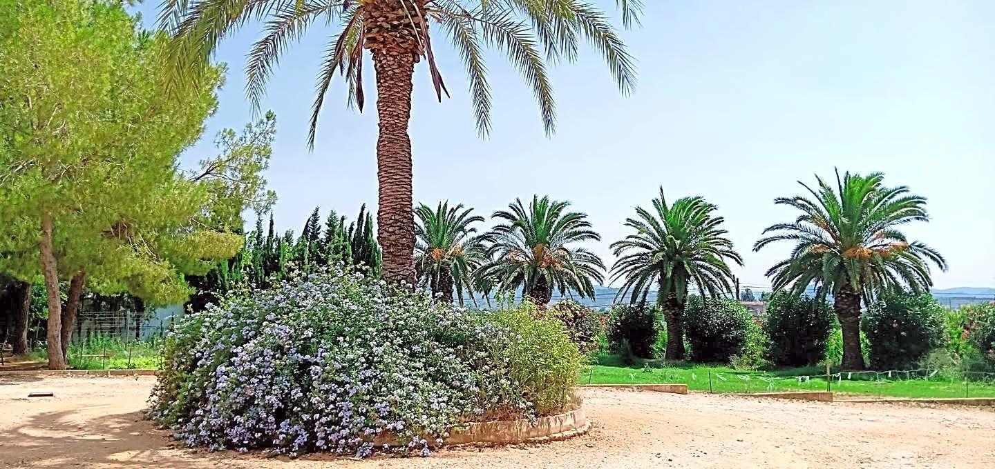 Pisos-Venta-Alzira-1720614-Foto-41