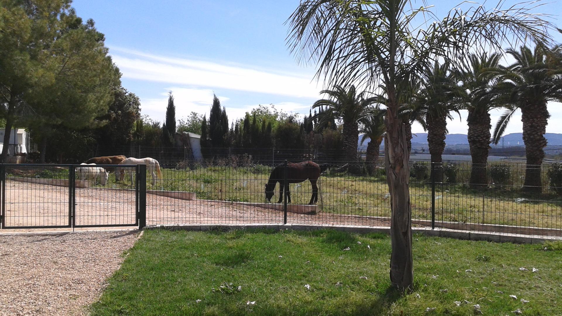 Pisos-Venta-Alzira-1720614-Foto-43