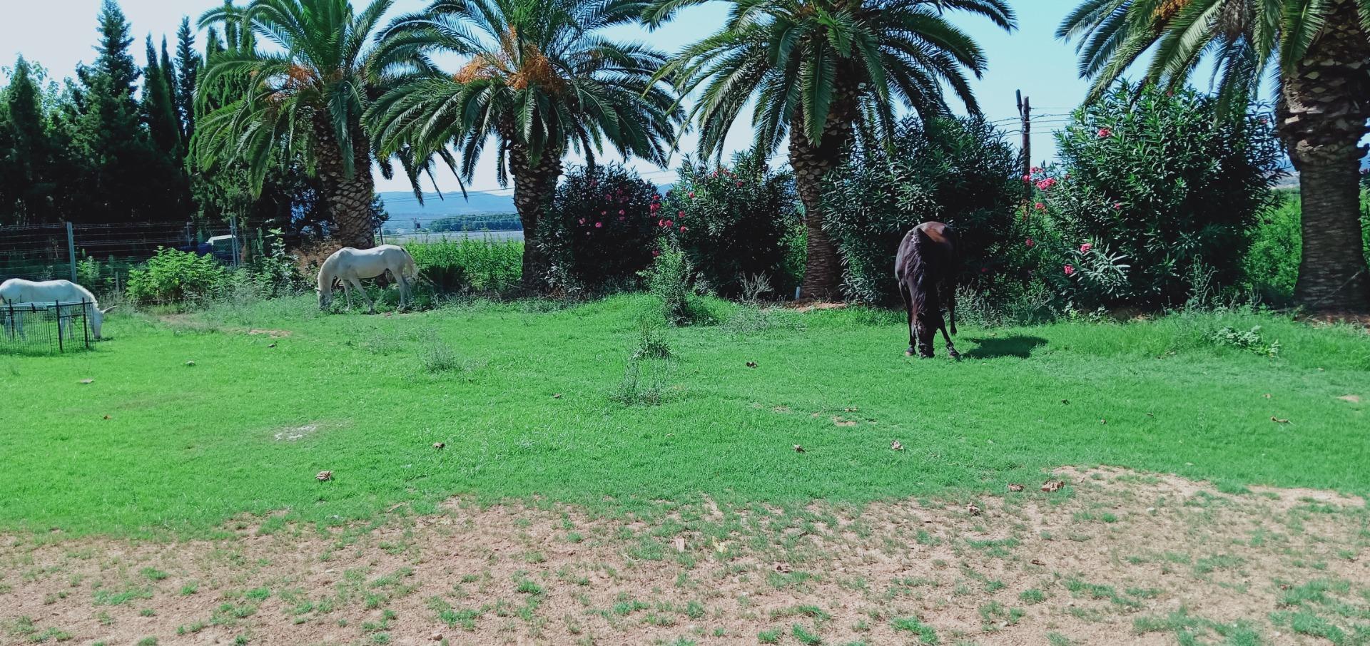 Pisos-Venta-Alzira-1720614-Foto-44