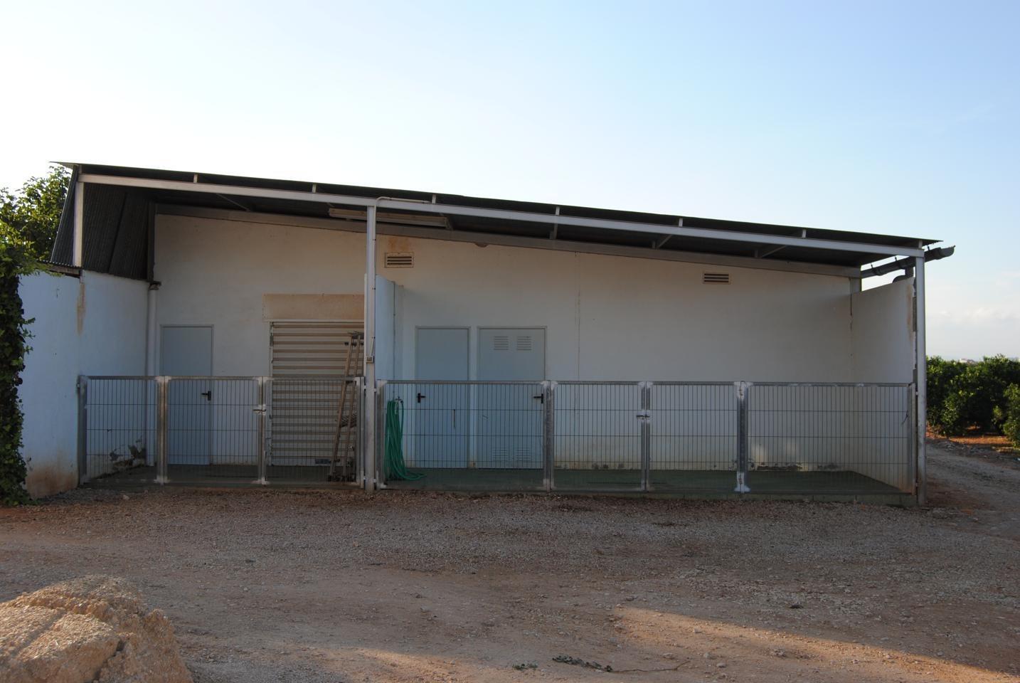 Pisos-Venta-Alzira-1720614-Foto-64